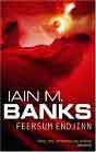 Ian M, Banks `Feersum Endjinn`