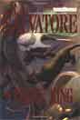 R. A. Salvatore `The Pirate King`