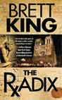 Brett King `The Radix`