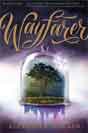 Alexandra Bracken `Wayfarer`