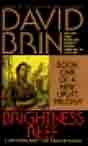 David Brin `Brightness Reef`