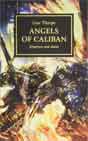 Gav Thorpe `Angels of Caliban`